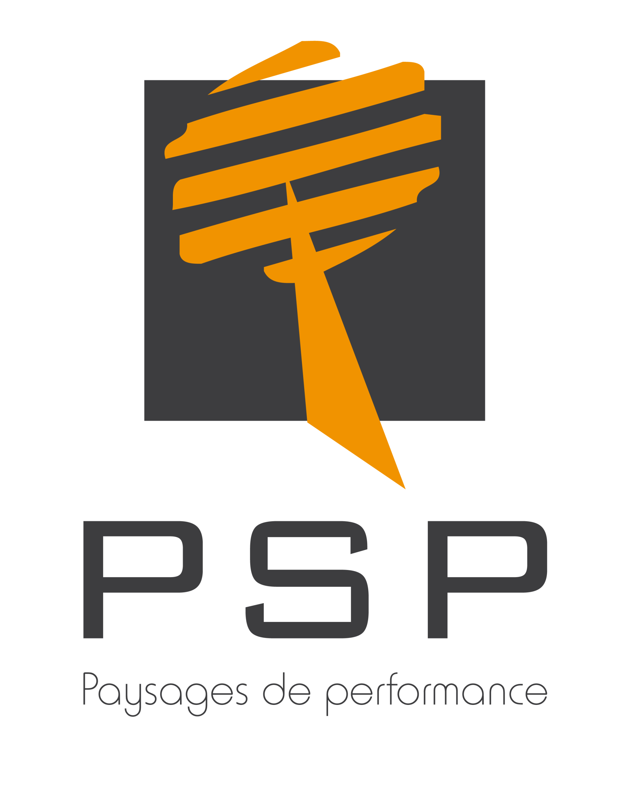 Logo PSP